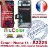 Vitre Tactile iPhone A2223 6,1 Retina pouces Apple True Cristaux 11 inCELL HD Tone SmartPhone Super Liquides PREMIUM Affichage