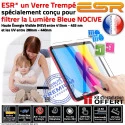 Verre Trempé Apple iPad A2696 Anti-Rayures Lumière Oléophobe UV Vitre Bleue H Multi-Touch Filtre ESR Chocs Protection Ecran