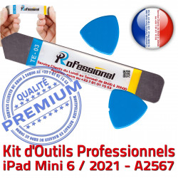 Démontage iSesamo Vitre PRO Compatible iLAME Réparation Remplacement Professionnelle Outils KIT Qualité Ecran iPadMini Tactile 6 A2567 iPad