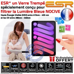 Protection Verre ESR Anti-Rayures UV Oléophobe Trempé Apple Anti-Chocs Bleue Mini Multi-Touch Vitre Filtre MINI Lumière iPad Ecran 6