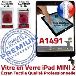 Tablette Tactile Oléophobe Vitre Caméra Filtre Noir Ecran Fixation Bouton iPad Mini2 Nappe Monté Home Adhésif A1491 Verre Réparation