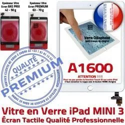 iPad Monté Réparation Ecran Verre Oléophobe Caméra Blanc Mini3 A1600 Tablette Vitre Filtre Home Adhésif Fixation Nappe Bouton Tactile